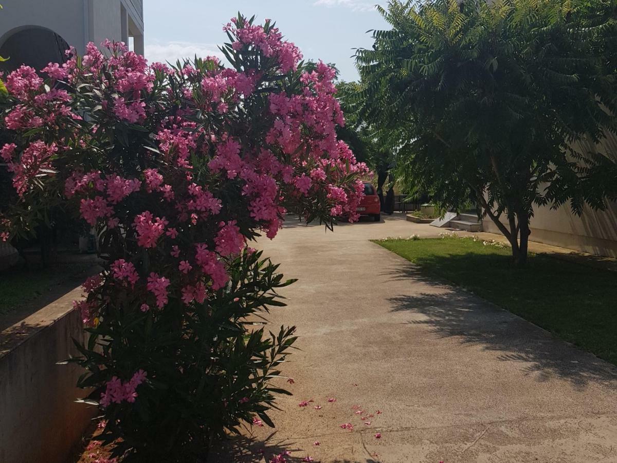 Sunset Apartments Zaton ซาตอน ภายนอก รูปภาพ